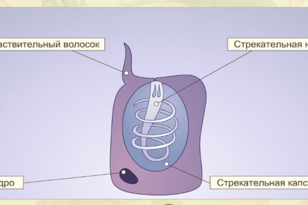 Kraken 15 at сайт