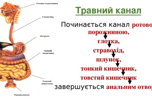 Не могу зайти на кракен