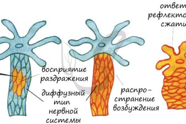 Кракен наркокортель