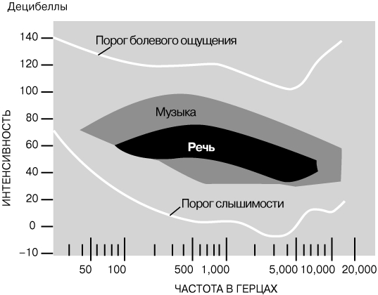 Магазин кракен даркнететамбов